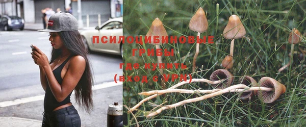 мдпв Новодвинск