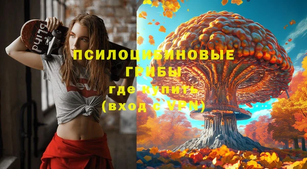 круглые Новокубанск
