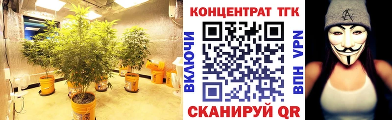 где купить наркоту  Орехово-Зуево  ТГК THC oil 